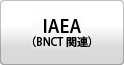 IAEA（BNCT関連）